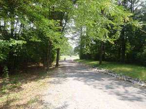 Beautiful country roads are great for riding bikes or motocycles