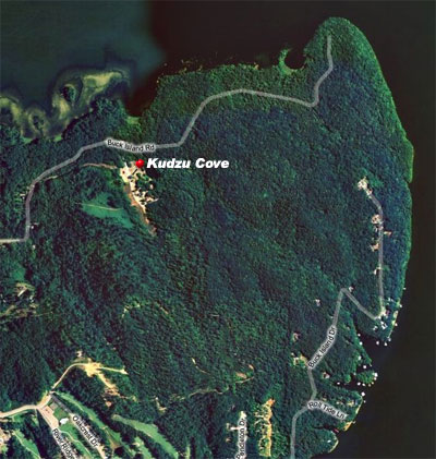 Aerial View of Kudzu Cove and Buck Island at Guntersville Lake